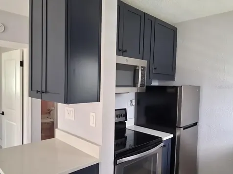 217 Banana Street Tarpon Springs FL 34689