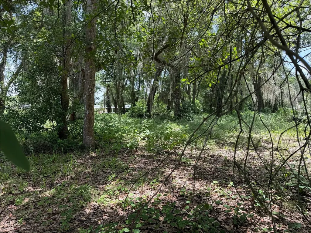 2008 Old Dixie Highway Auburndale FL 33823