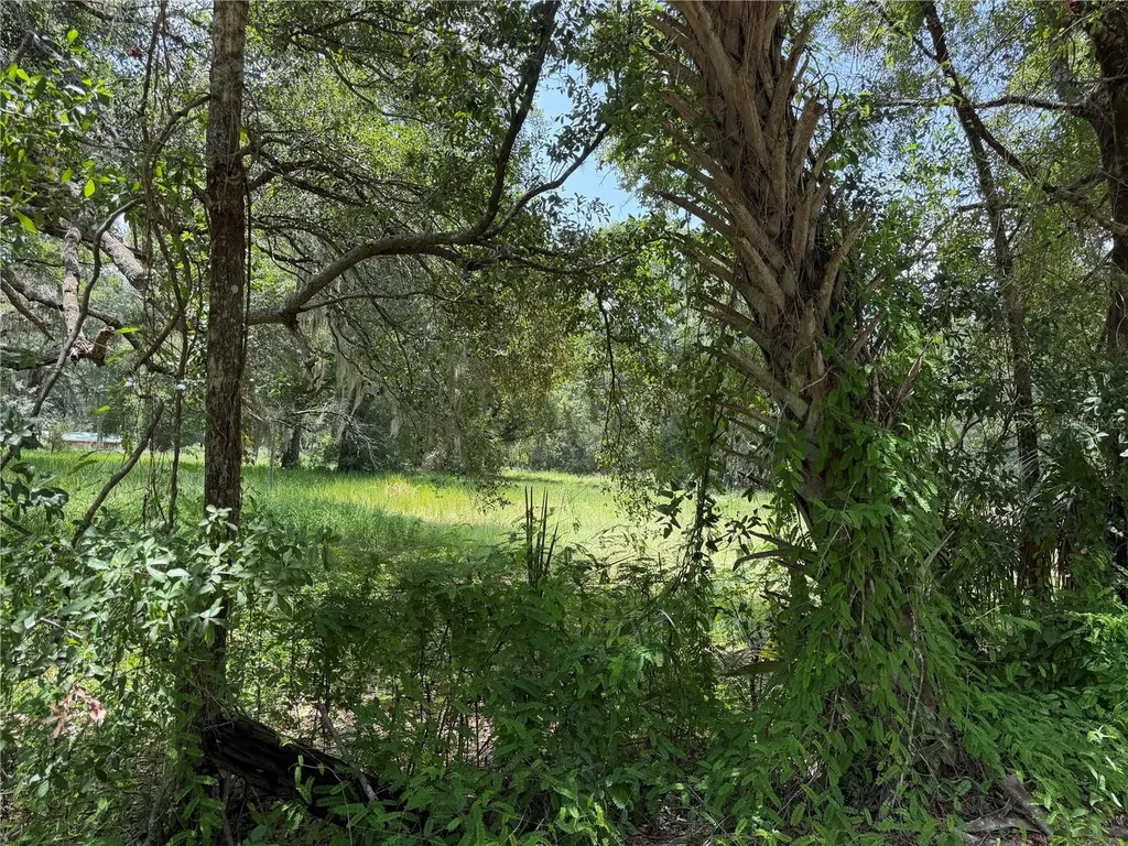 2008 Old Dixie Highway Auburndale FL 33823