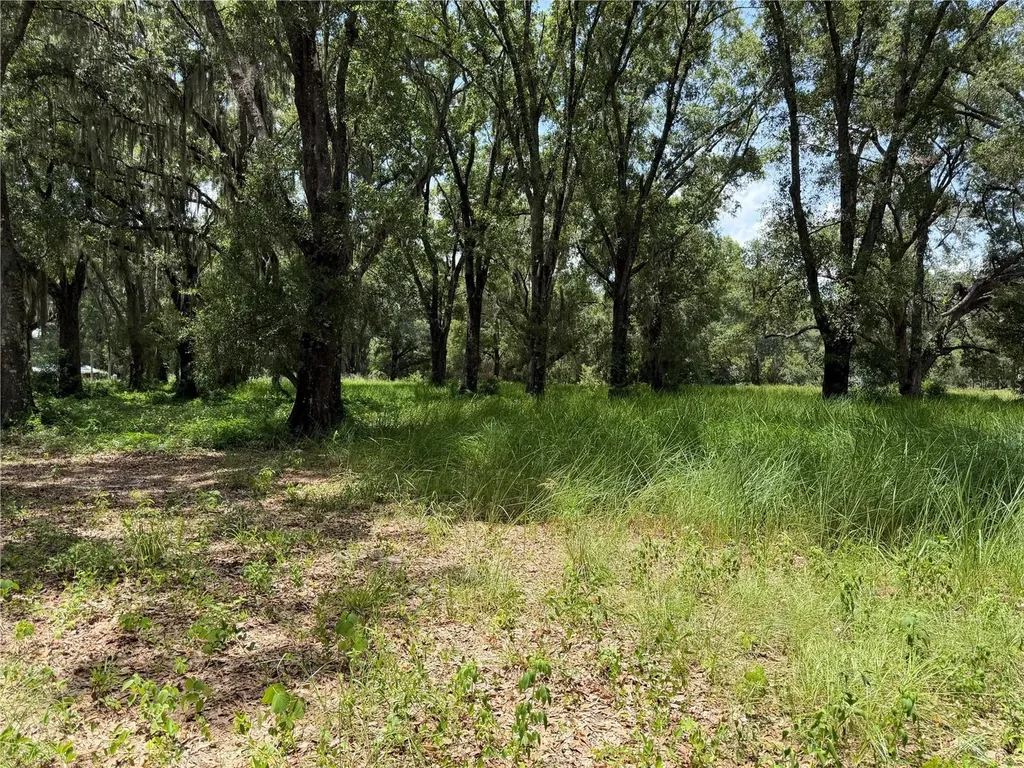 2008 Old Dixie Highway Auburndale FL 33823
