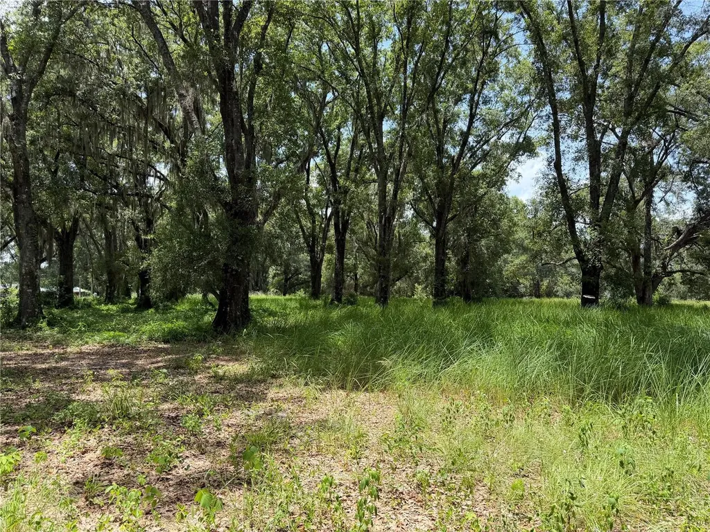2008 Old Dixie Highway Auburndale FL 33823