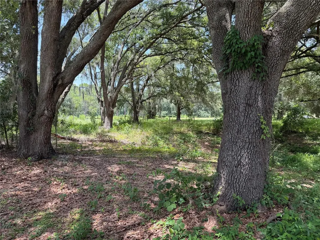 2008 Old Dixie Highway Auburndale FL 33823