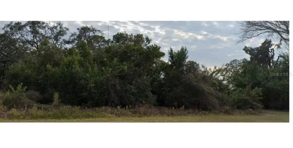 Lecanto Street Holiday FL 34691