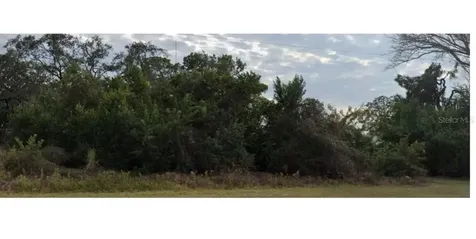Lecanto Street Holiday FL 34691