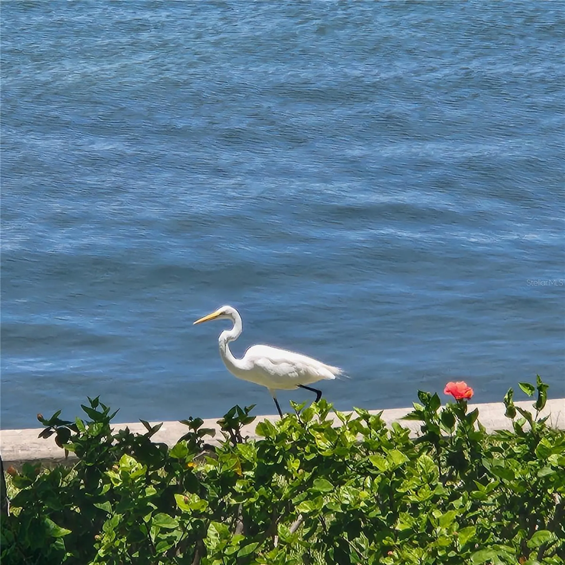 777 John Ringling Boulevard Sarasota FL 34236