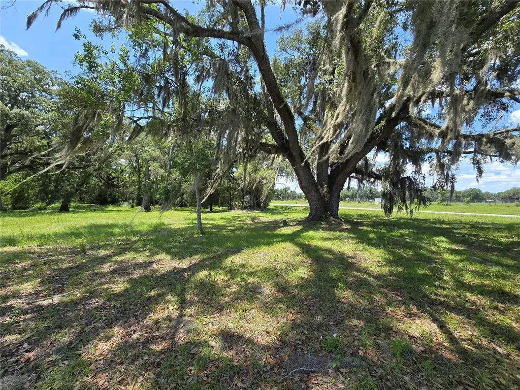 7563 SE County Road 405 Branford FL 32008