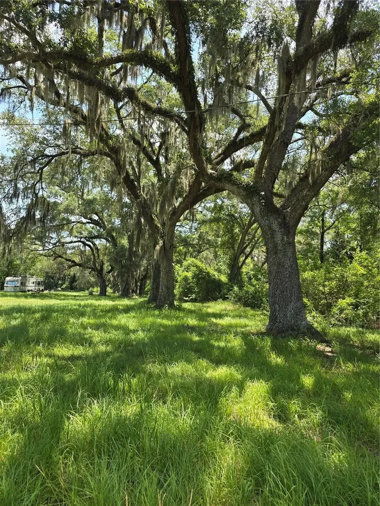 7563 SE County Road 405 Branford FL 32008