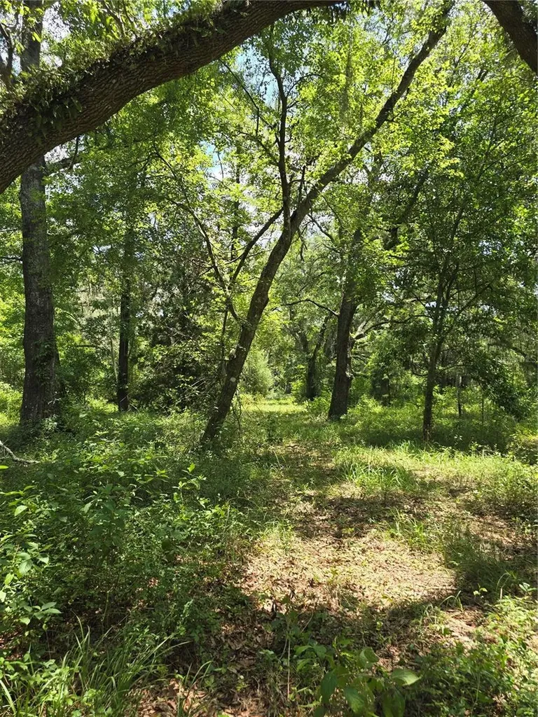 7563 SE County Road 405 Branford FL 32008