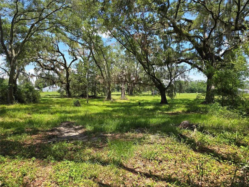 7563 SE County Road 405 Branford FL 32008