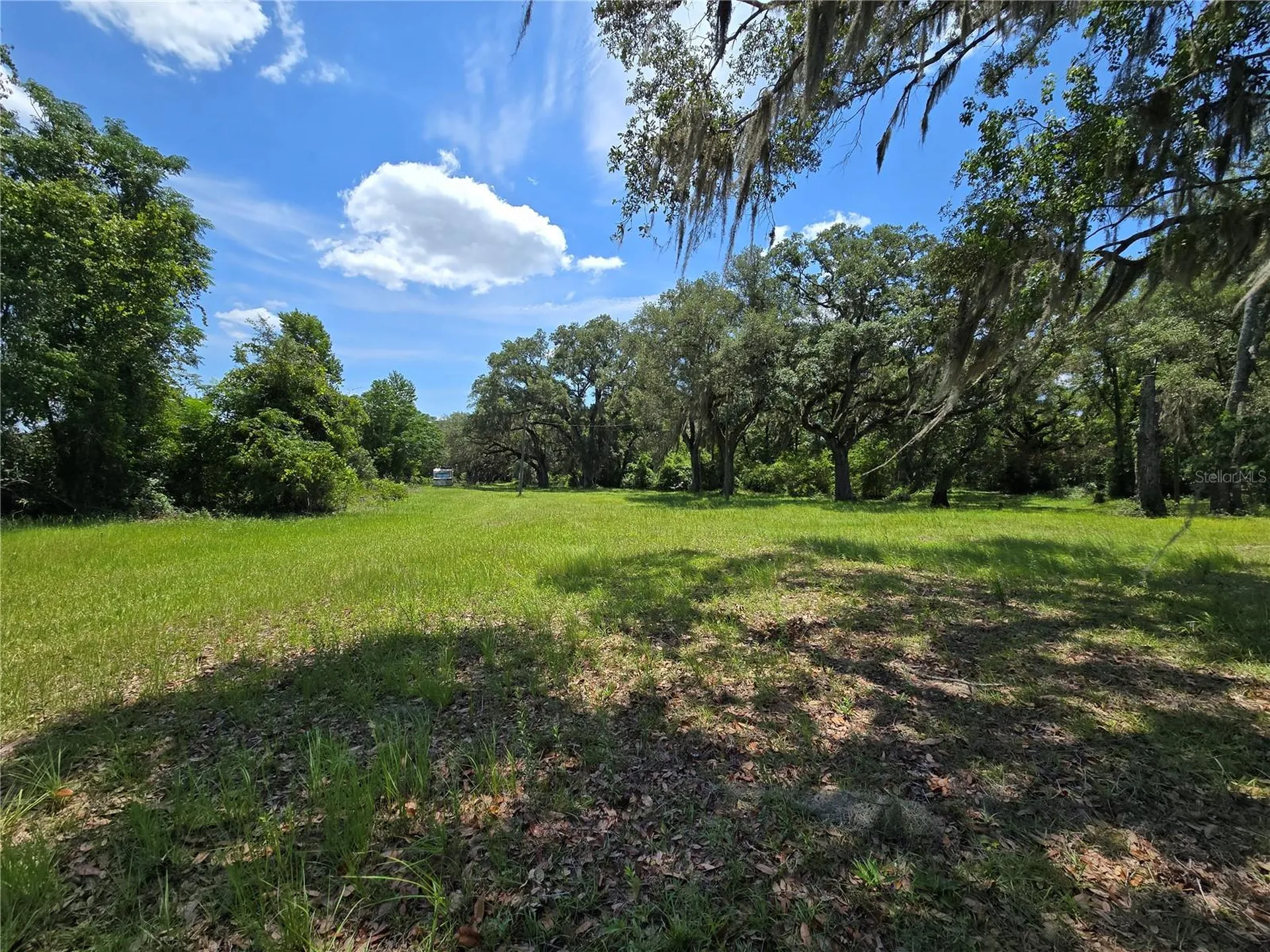 7563 SE County Road 405 Branford FL 32008