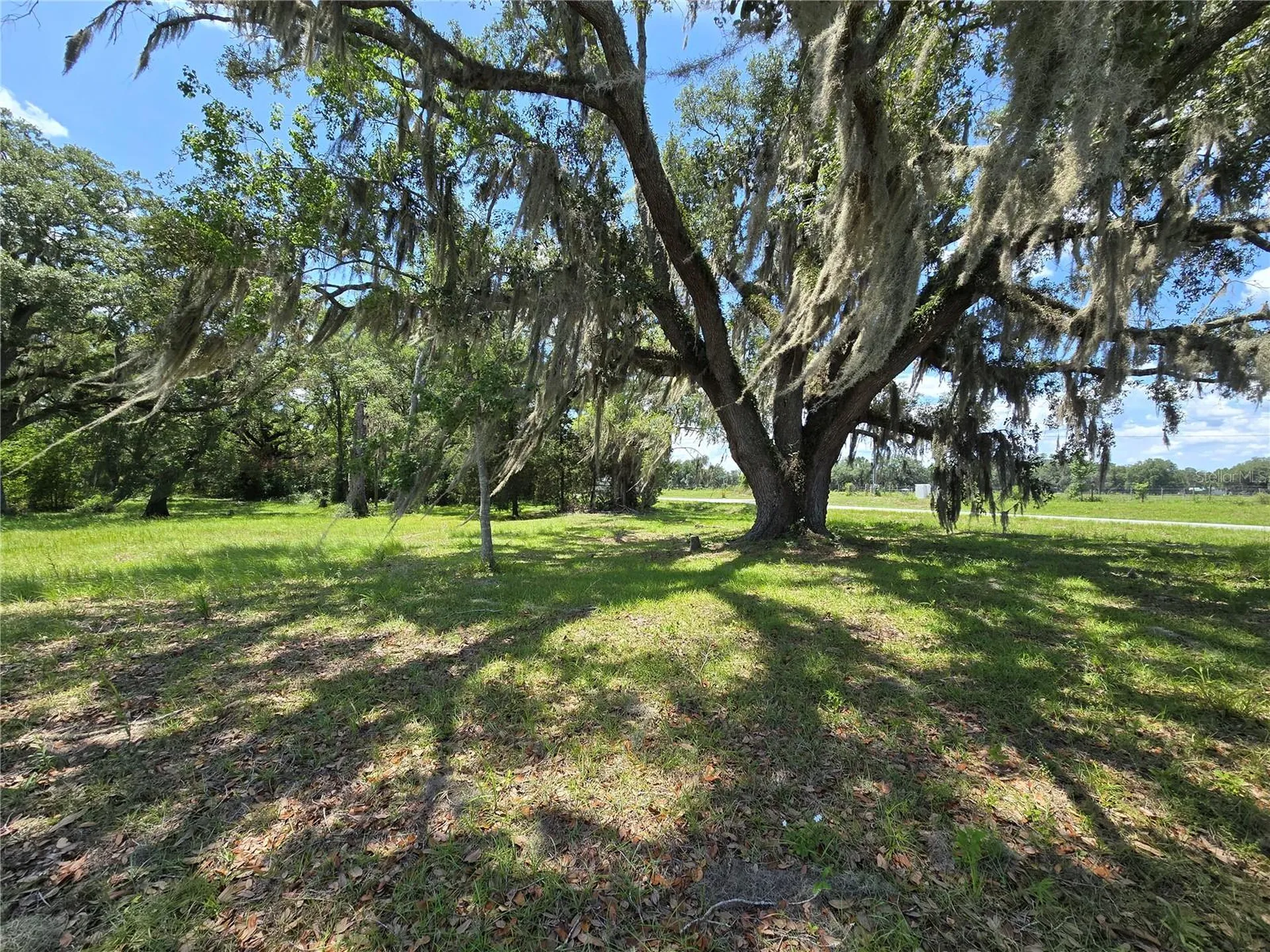 7563 SE County Road 405 Branford FL 32008