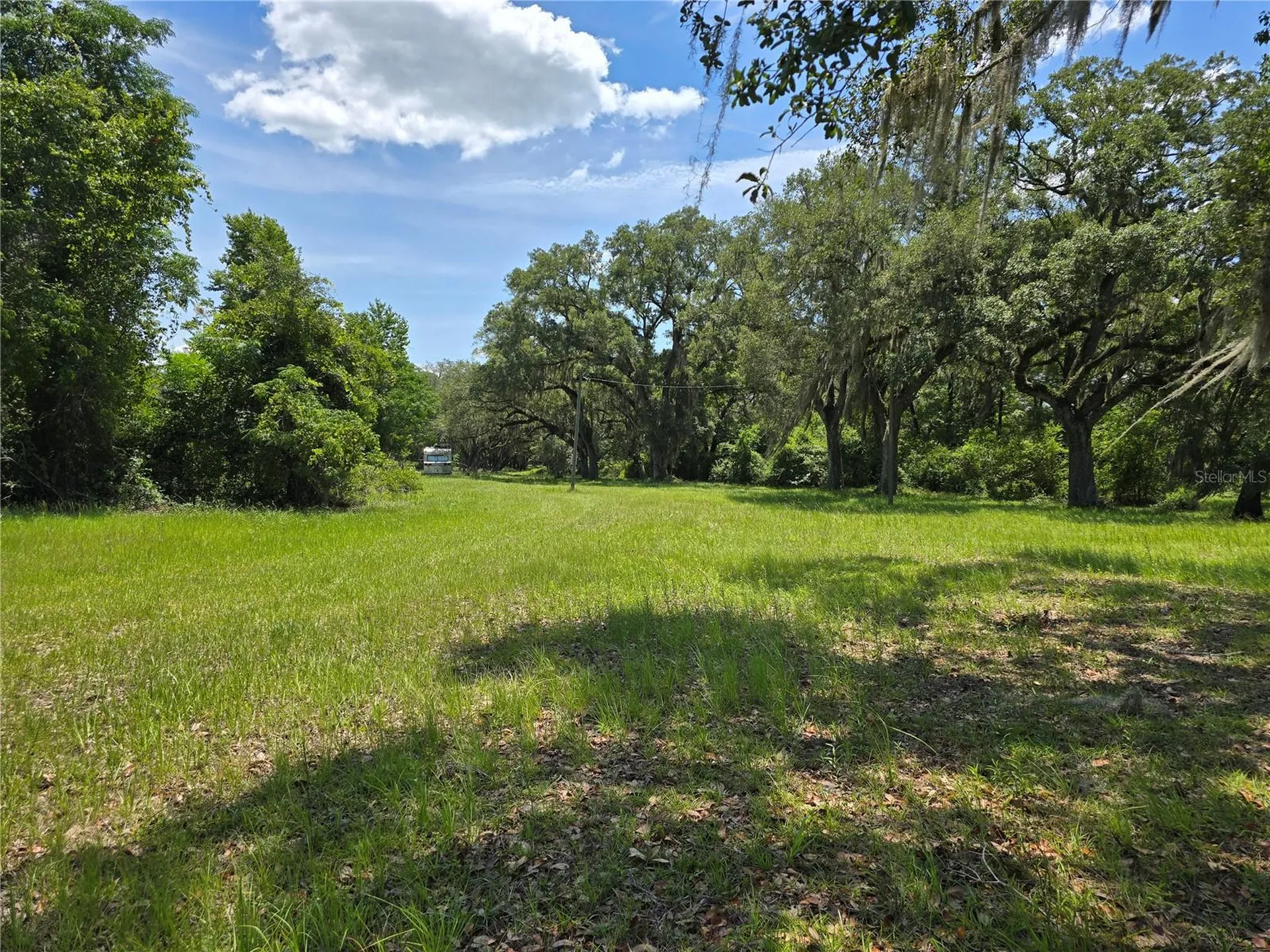 7563 SE County Road 405 Branford FL 32008