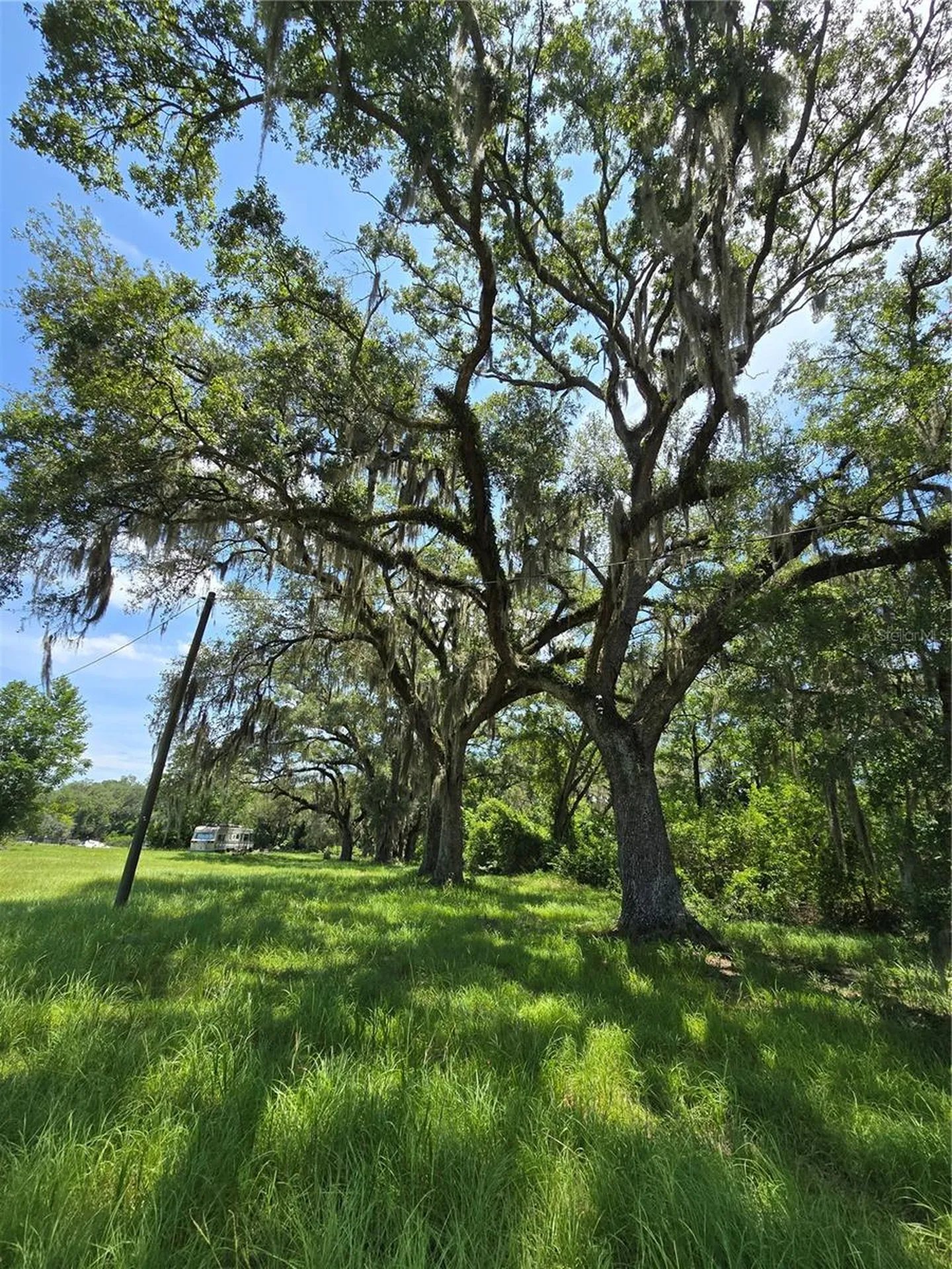 7563 SE County Road 405 Branford FL 32008