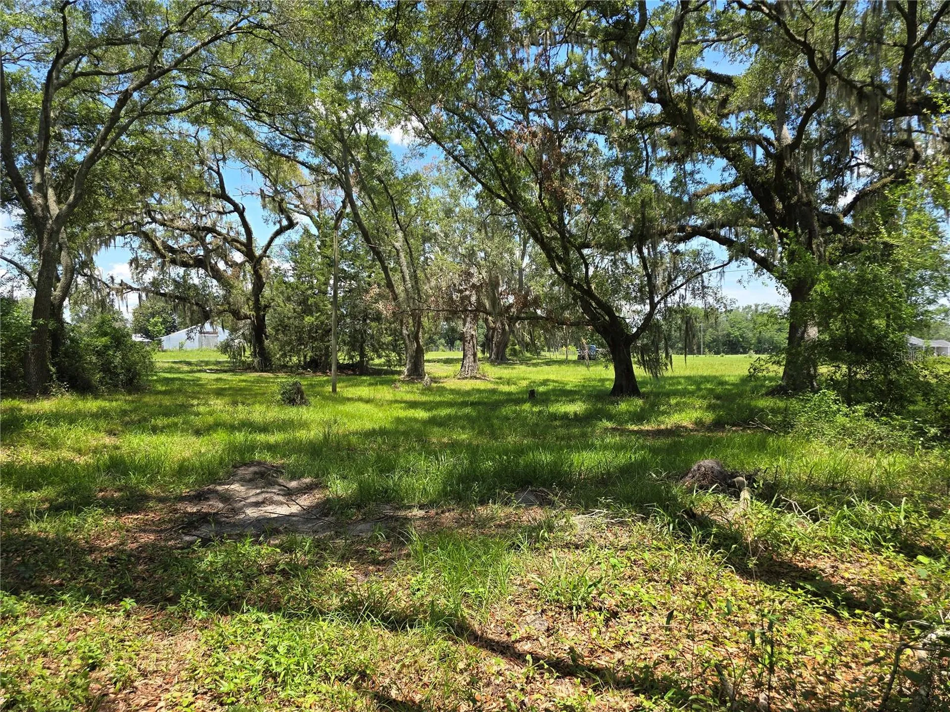 7563 SE County Road 405 Branford FL 32008