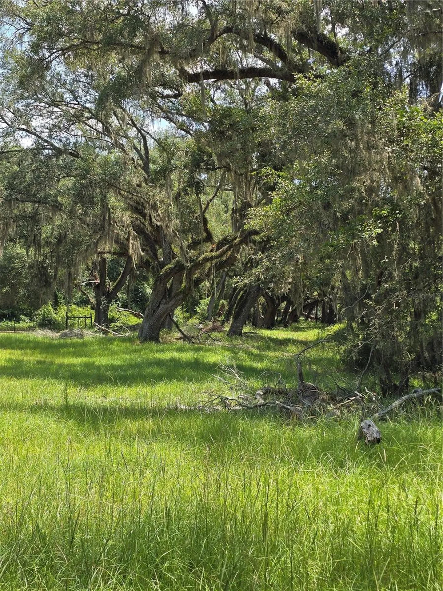 7563 SE County Road 405 Branford FL 32008