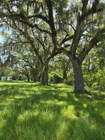 7563 SE County Road 405 Branford FL 32008