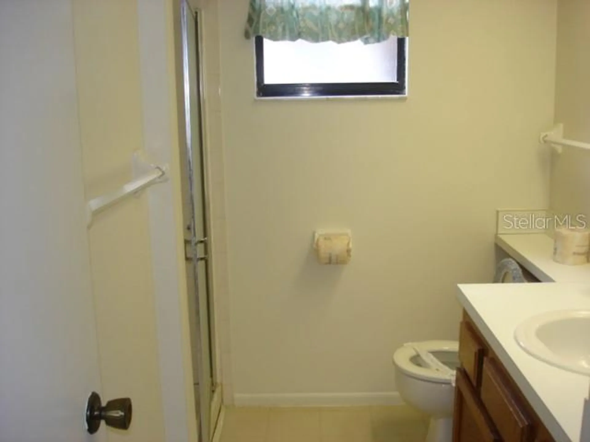 250 Woodlake Wynde Oldsmar FL 34677