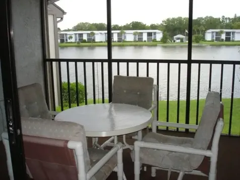250 Woodlake Wynde Oldsmar FL 34677