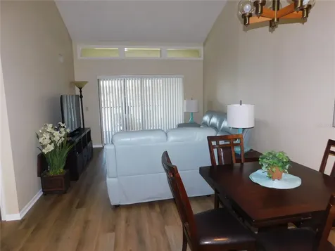 250 Woodlake Wynde Oldsmar FL 34677