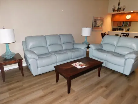 250 Woodlake Wynde Oldsmar FL 34677