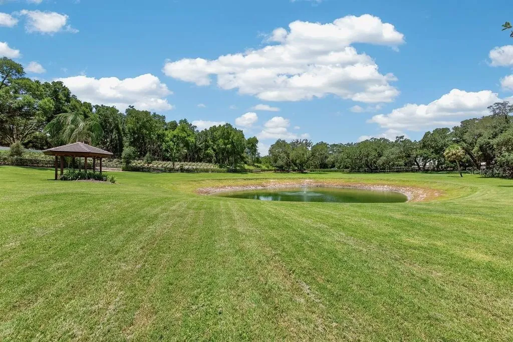 1007 Lakewood Drive Brandon FL 33510