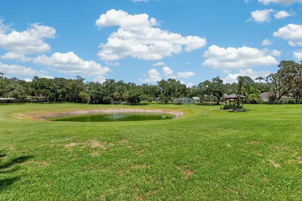 1007 Lakewood Drive Brandon FL 33510