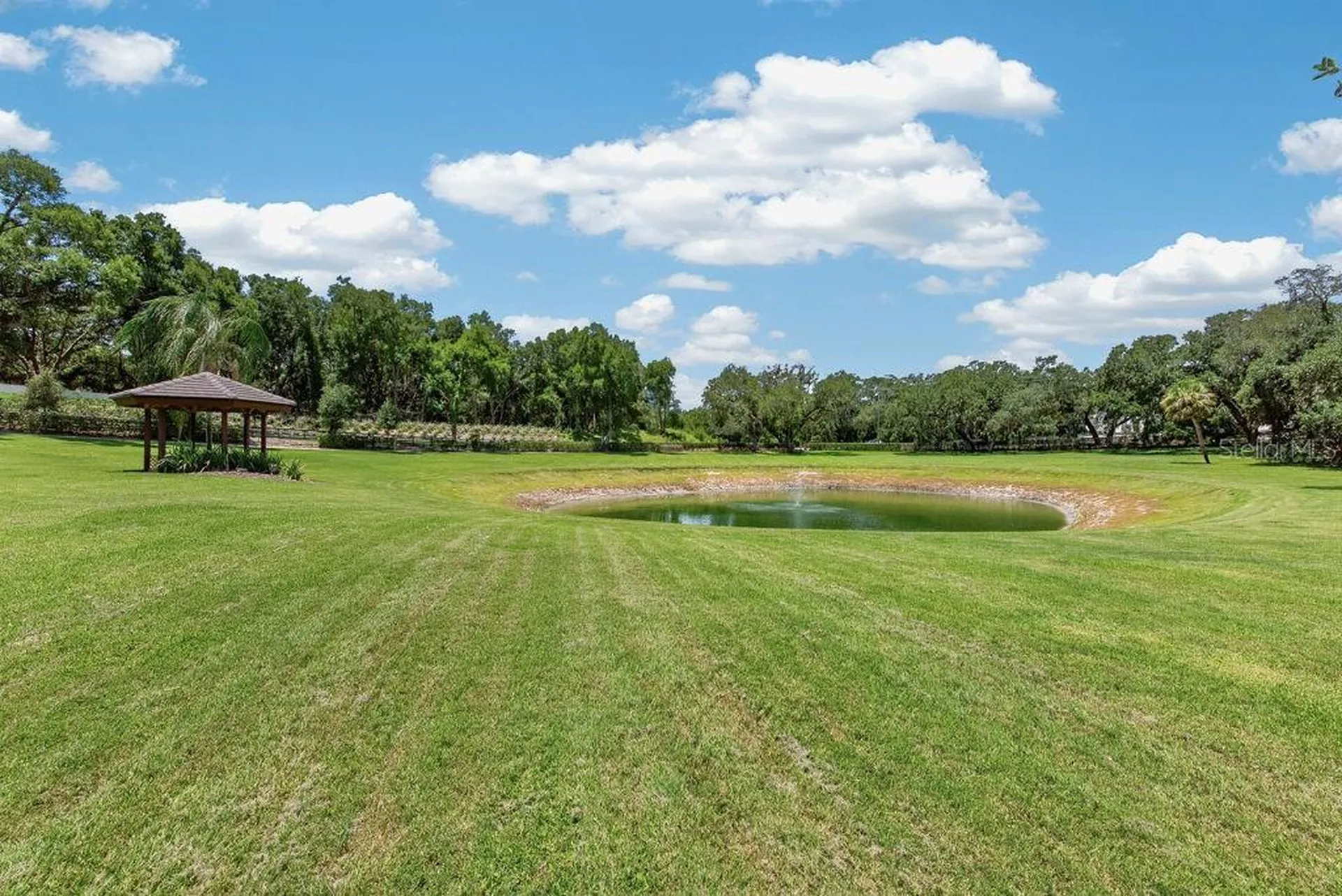 1007 Lakewood Drive Brandon FL 33510