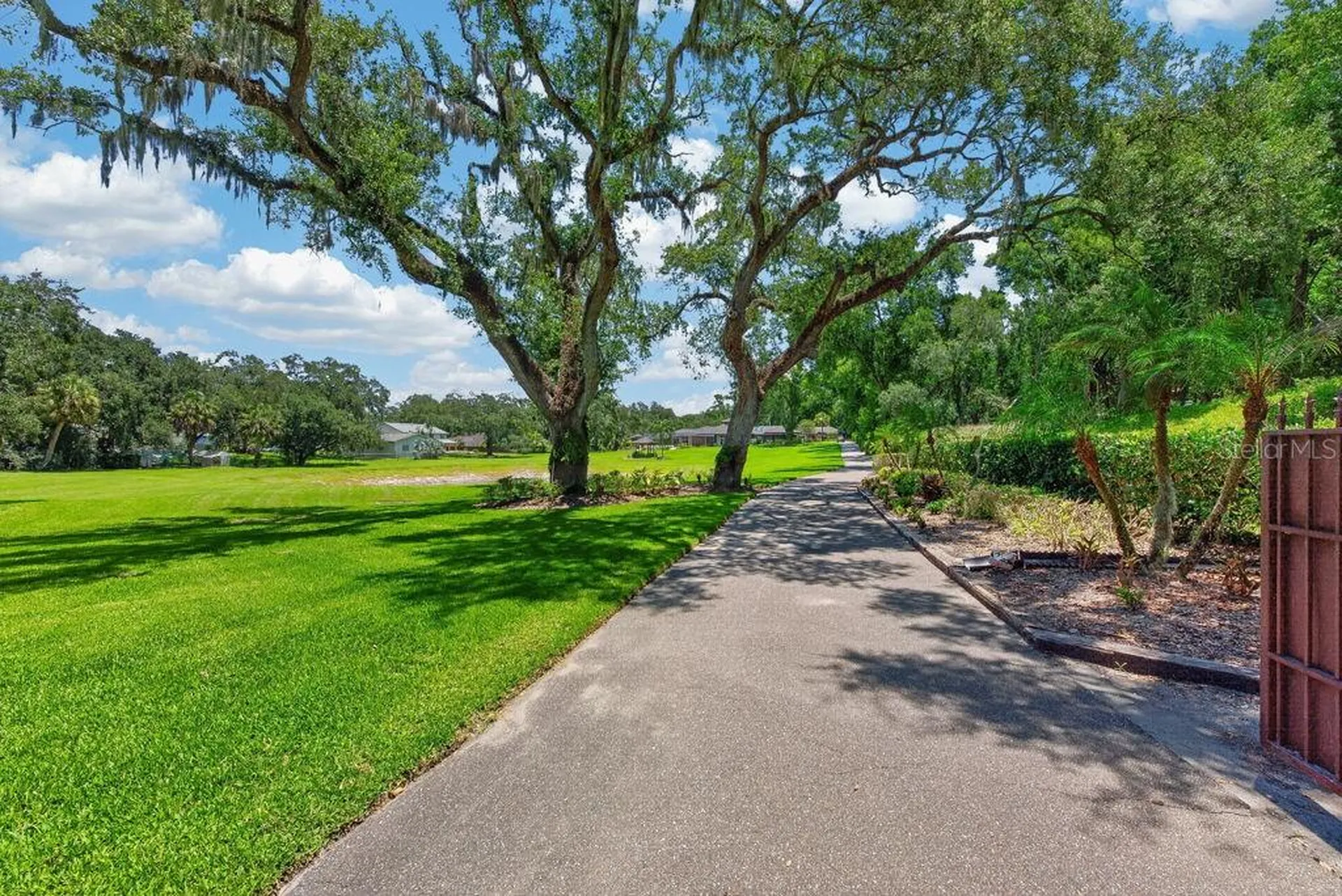 1007 Lakewood Drive Brandon FL 33510
