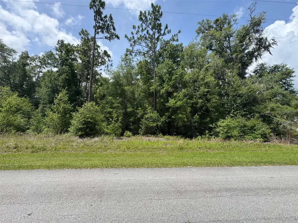 Tbd SW 59 Lane Dunnellon FL 34431