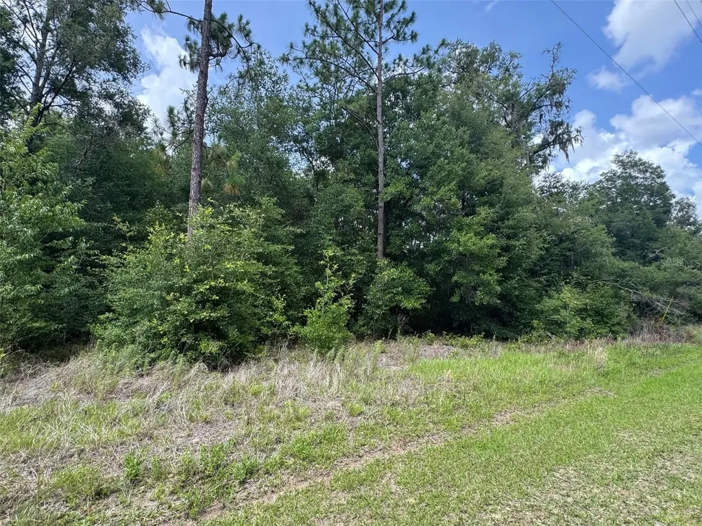 Tbd SW 59 Lane Dunnellon FL 34431