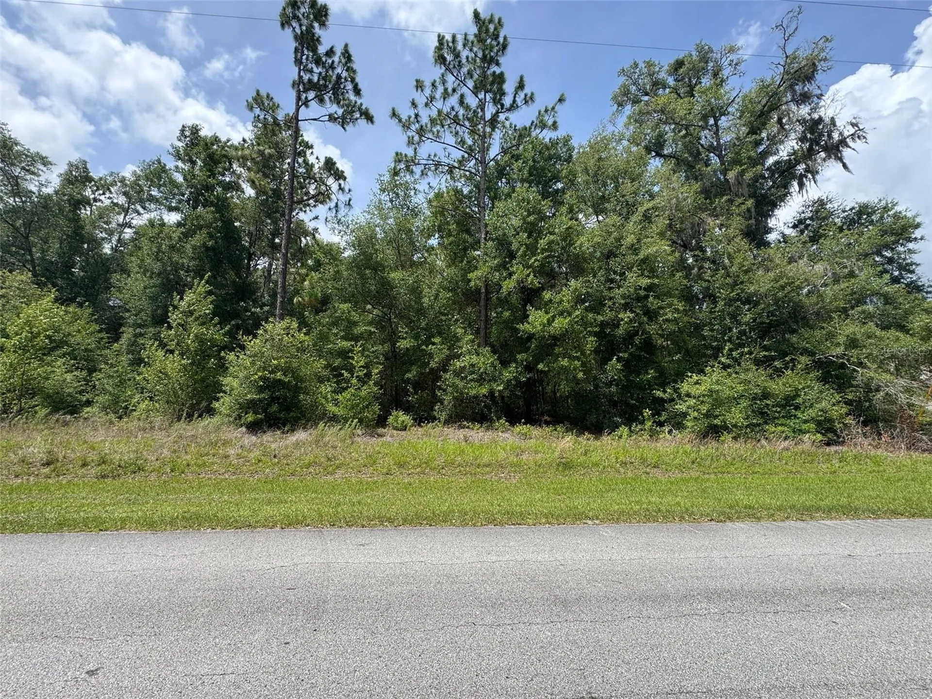 Tbd SW 59th Lane Dunnellon FL 34431
