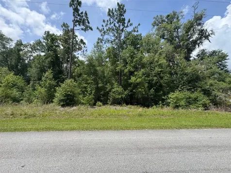 Tbd SW 59th Lane Dunnellon FL 34431