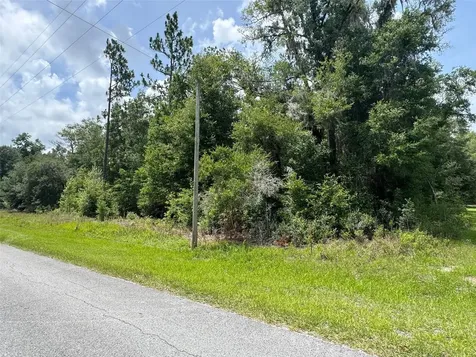 Tbd SW 59th Lane Dunnellon FL 34431