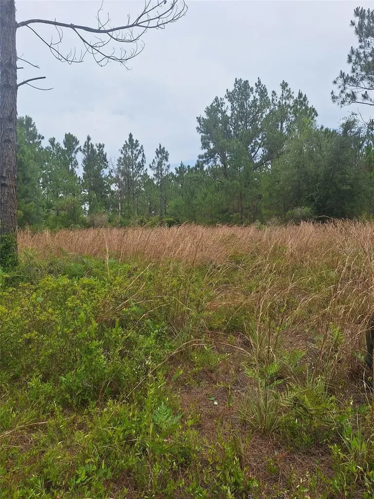 0 Unassigned Location Re Perry FL 32348