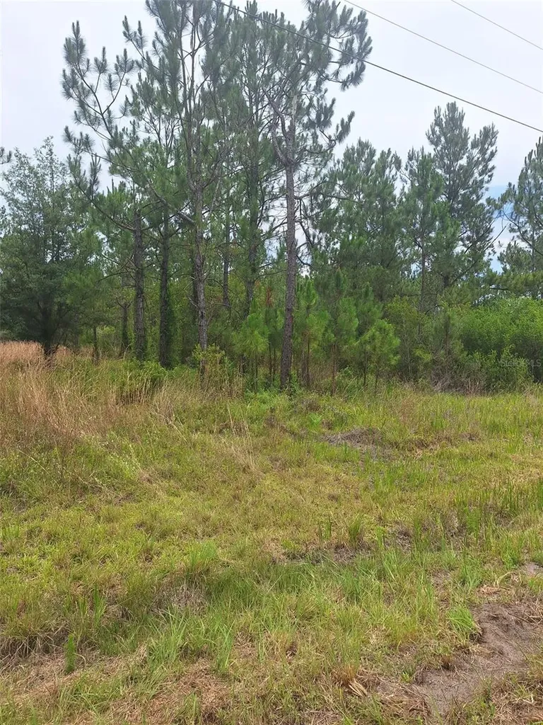 0 Unassigned Location Re Perry FL 32348