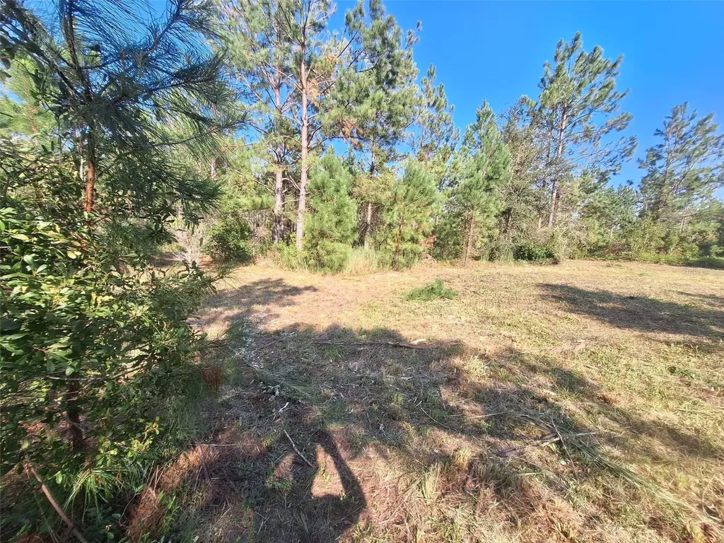 0 Unassigned Location Re Perry FL 32348