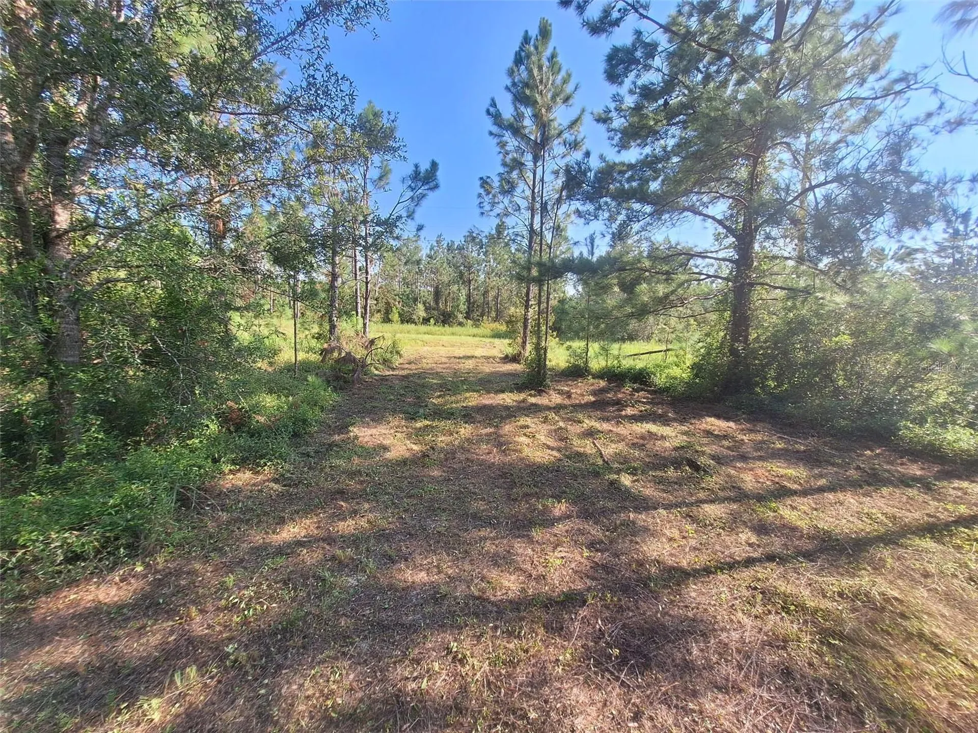 0 Unassigned Location Re Perry FL 32348
