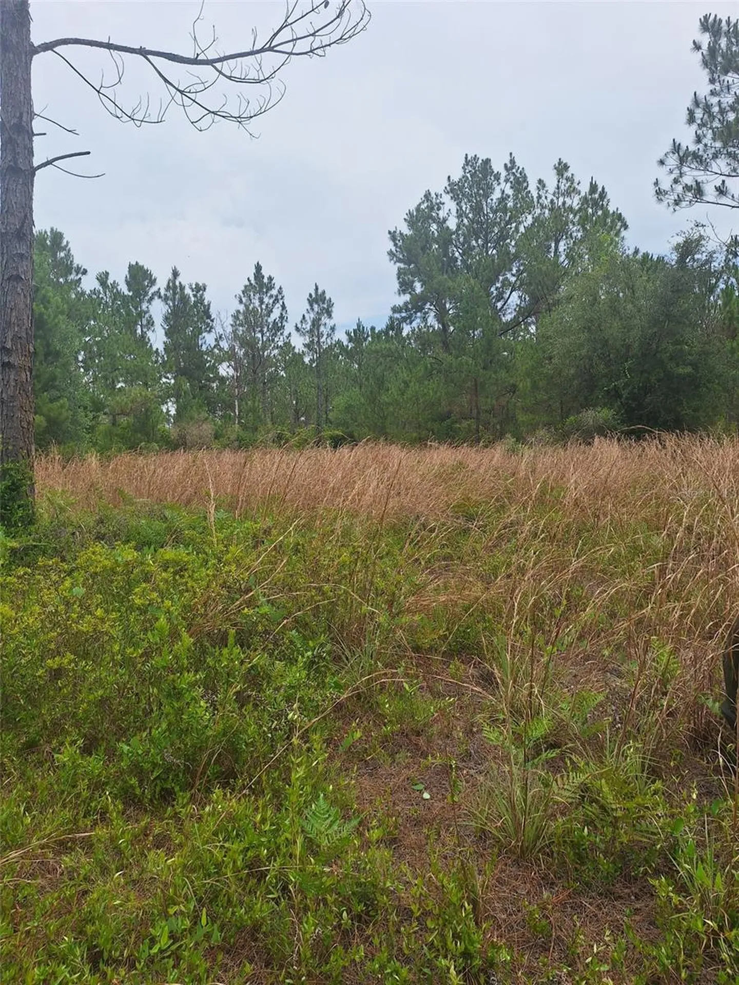 0 Unassigned Location Re Perry FL 32348