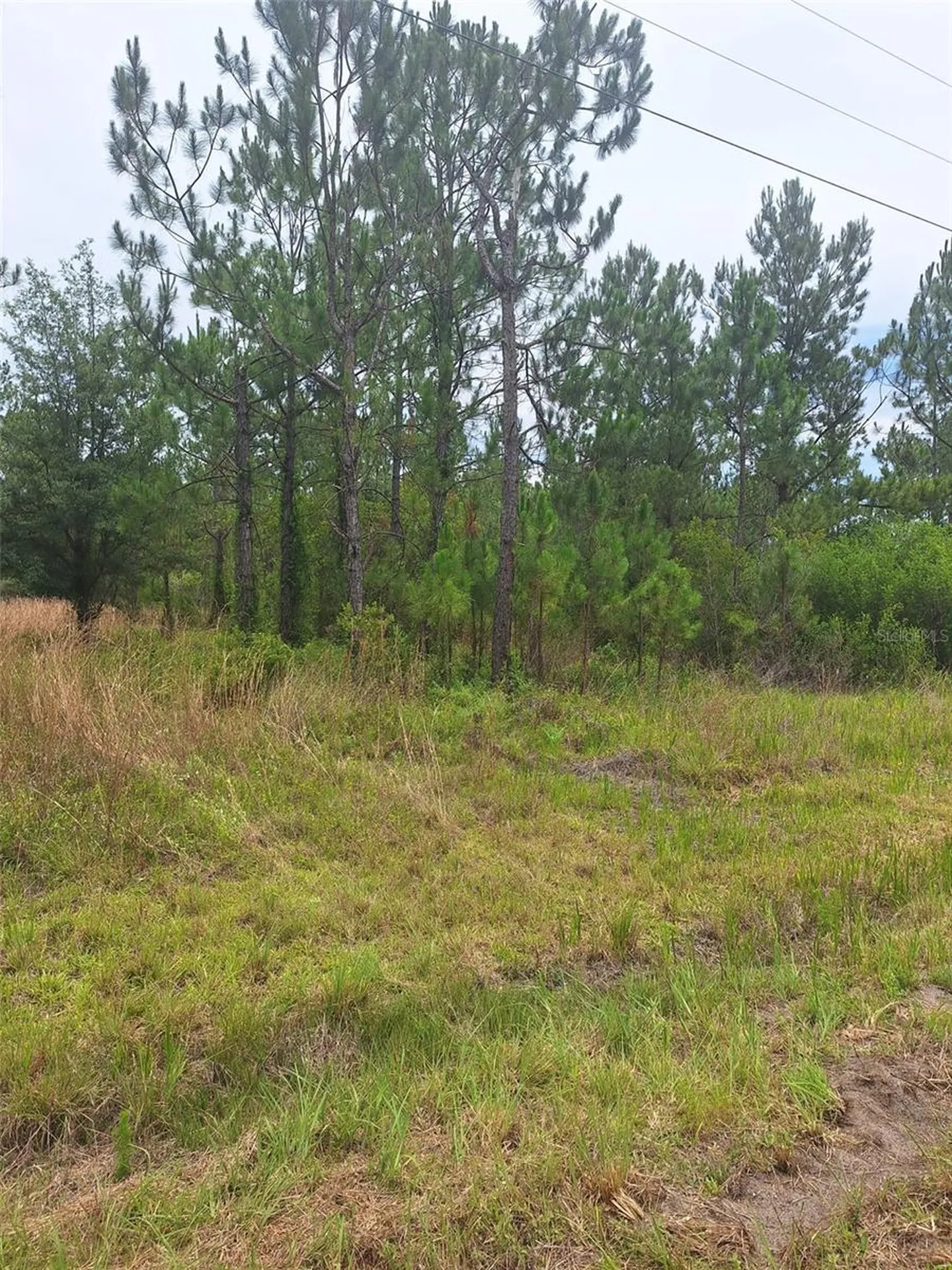 0 Unassigned Location Re Perry FL 32348