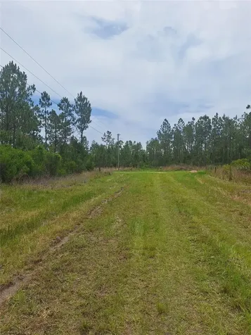 0 Unassigned Location Re Perry FL 32348