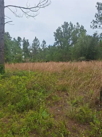 0 Unassigned Location Re Perry FL 32348