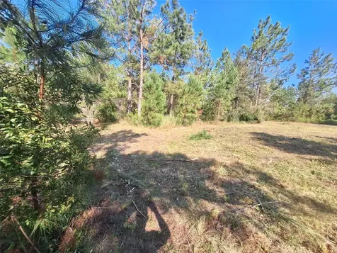 0 Unassigned Location Re Perry FL 32348