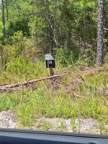 0 Unassigned Location Re Perry FL 32348