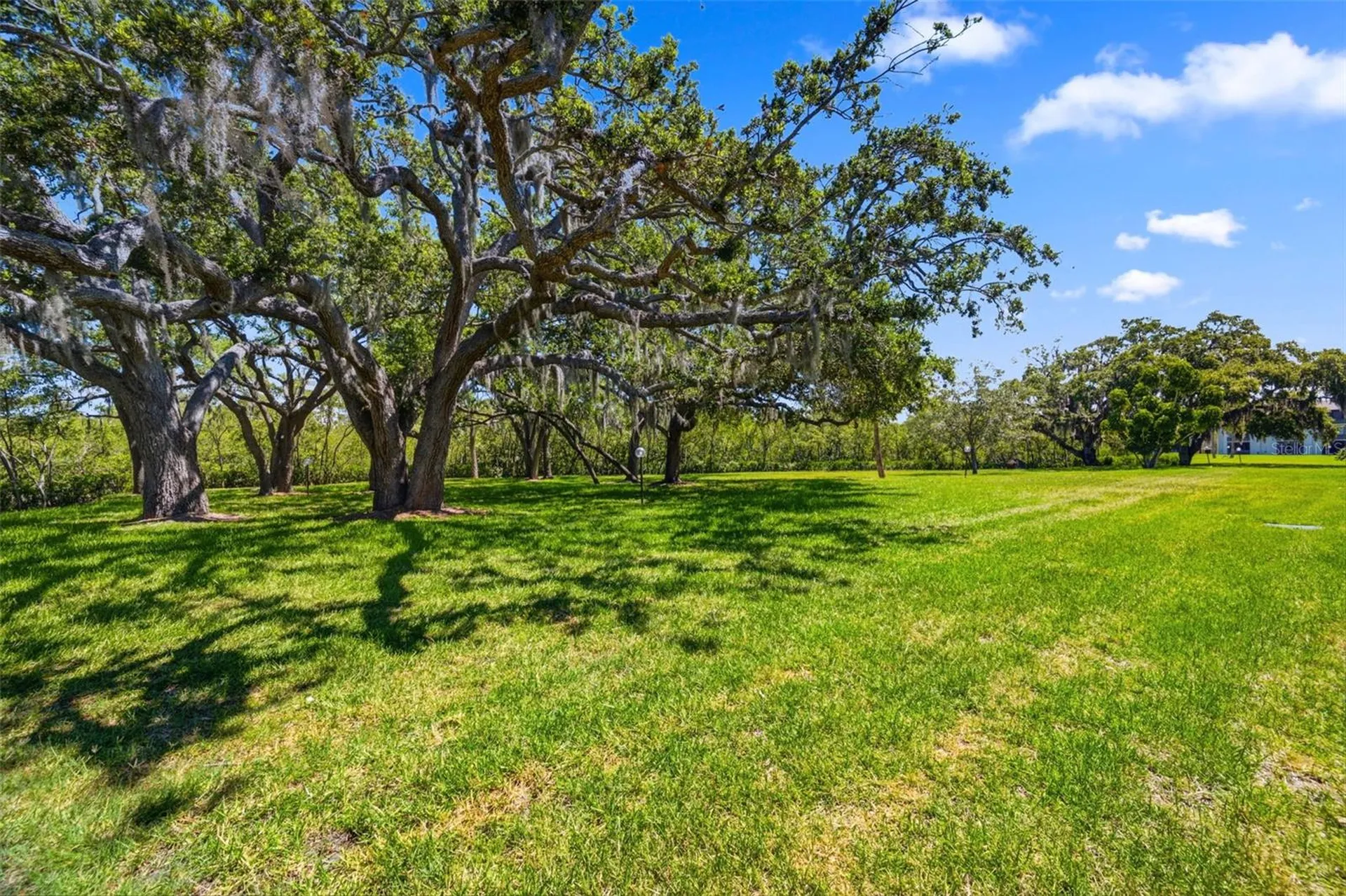 4829 Onyx Lane New Port Richey FL 34652