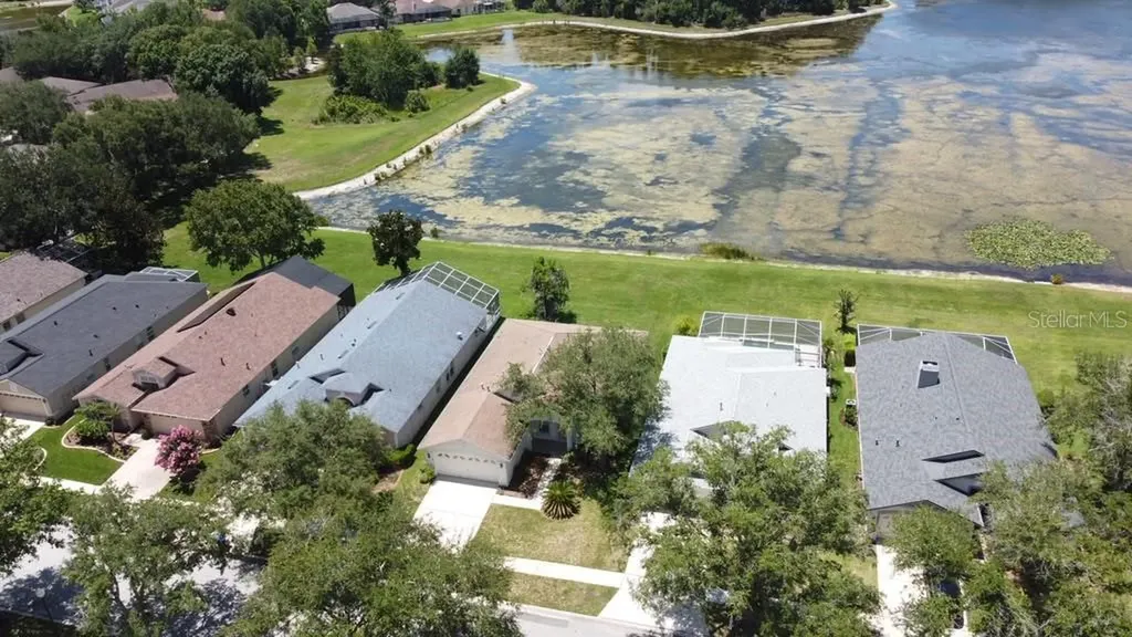 18014 Arbor Crest Drive Tampa FL 33647