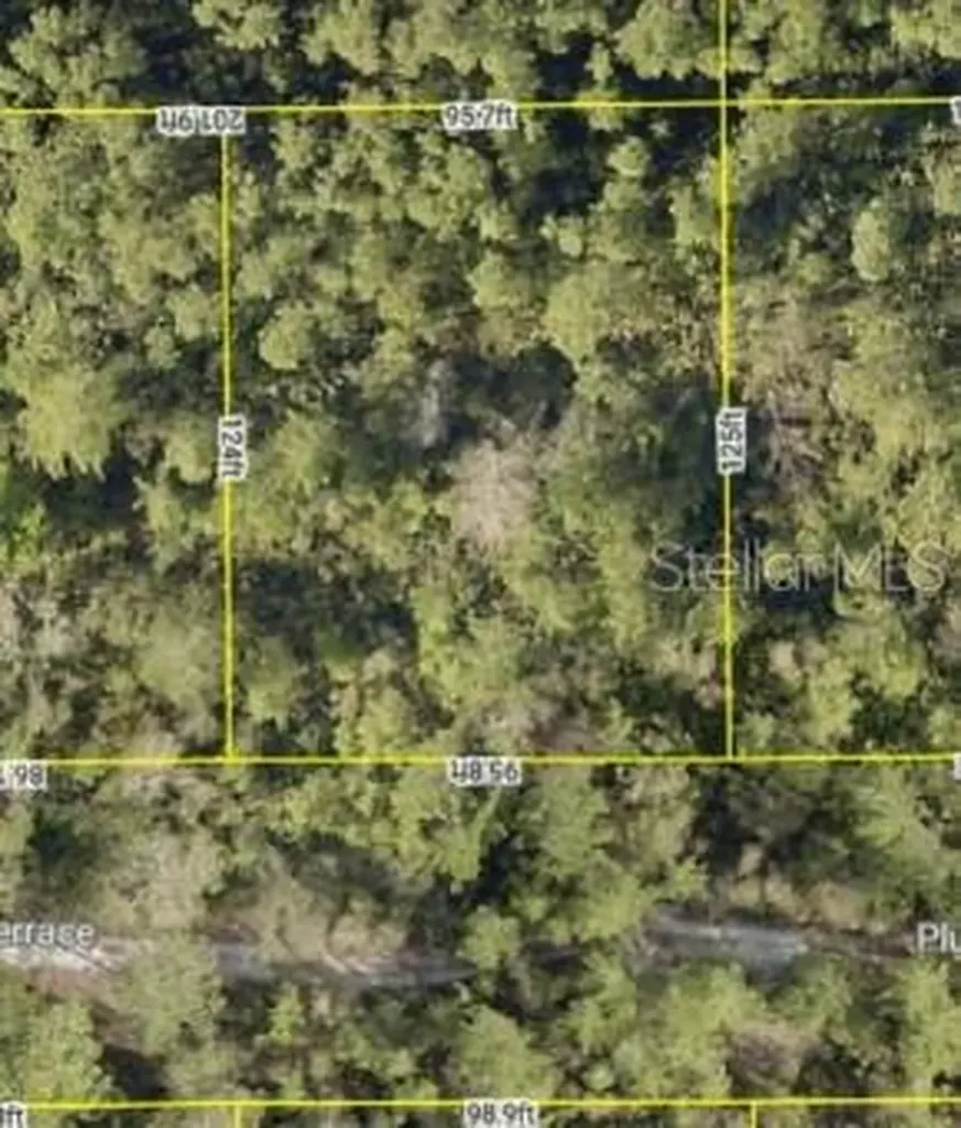 0 Plumosus Terrace Deland FL 32724