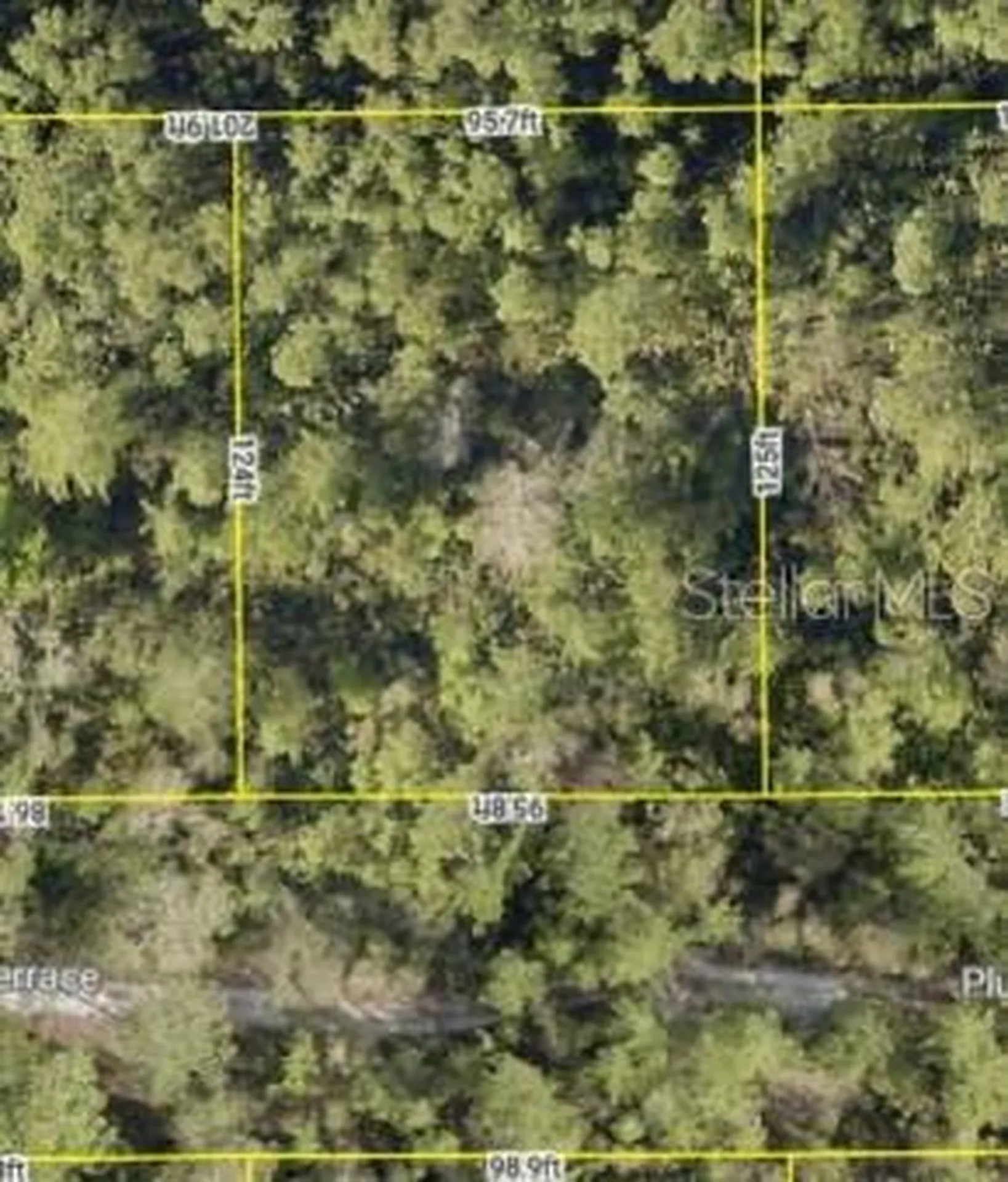 0 Plumosus Terrace Deland FL 32724
