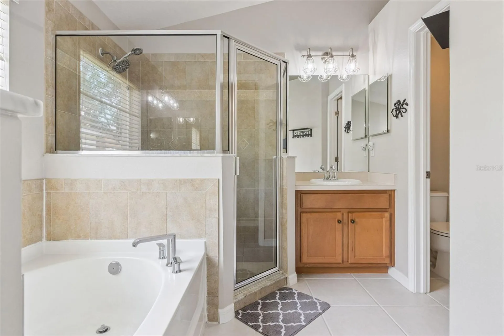13933 Chalk Hill Place Riverview FL 33579