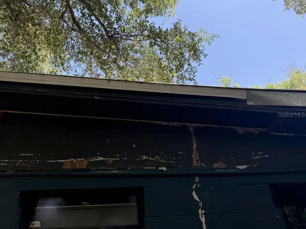 8507 Libby Lane Tampa FL 33619