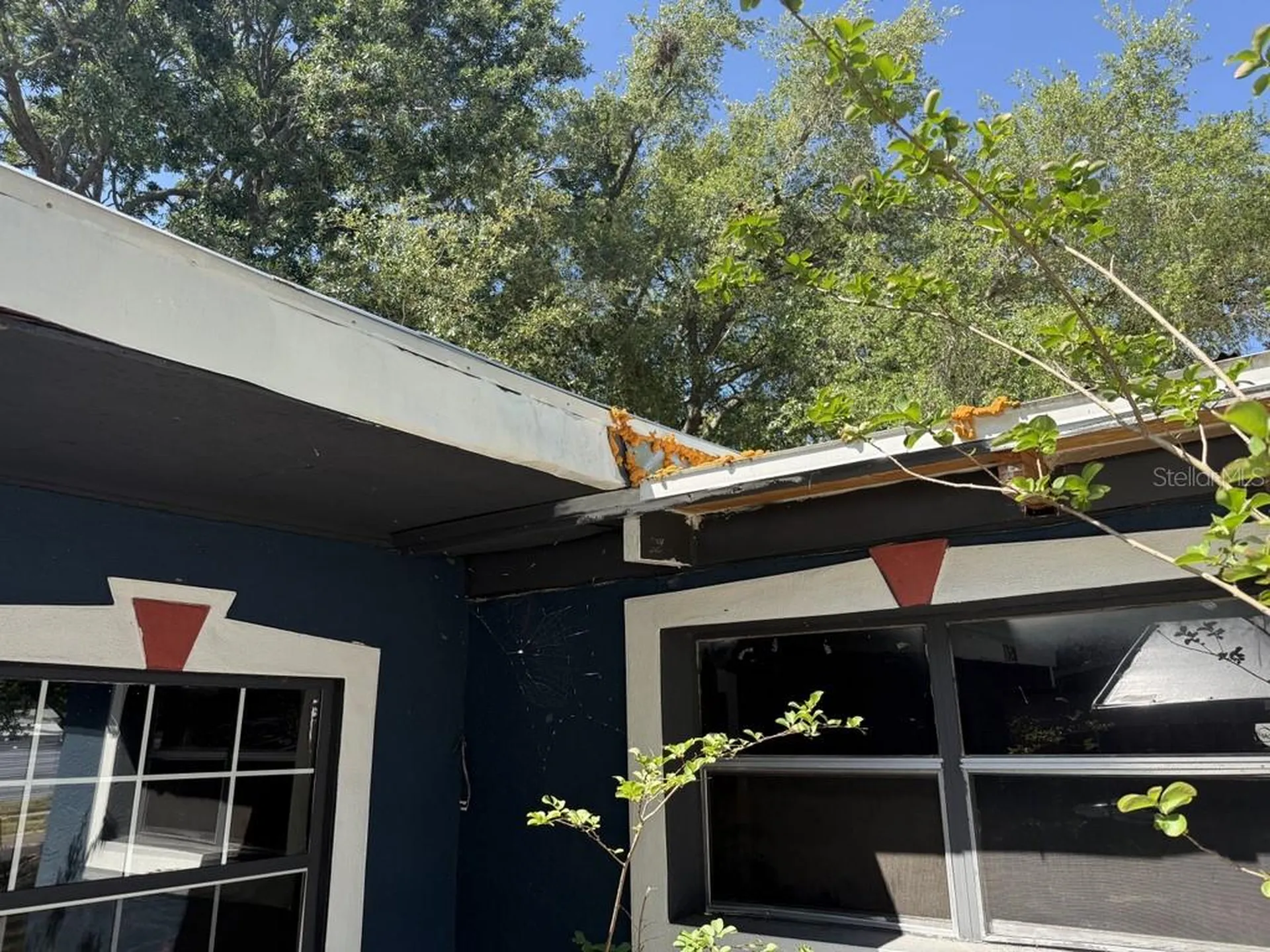 8507 Libby Lane Tampa FL 33619